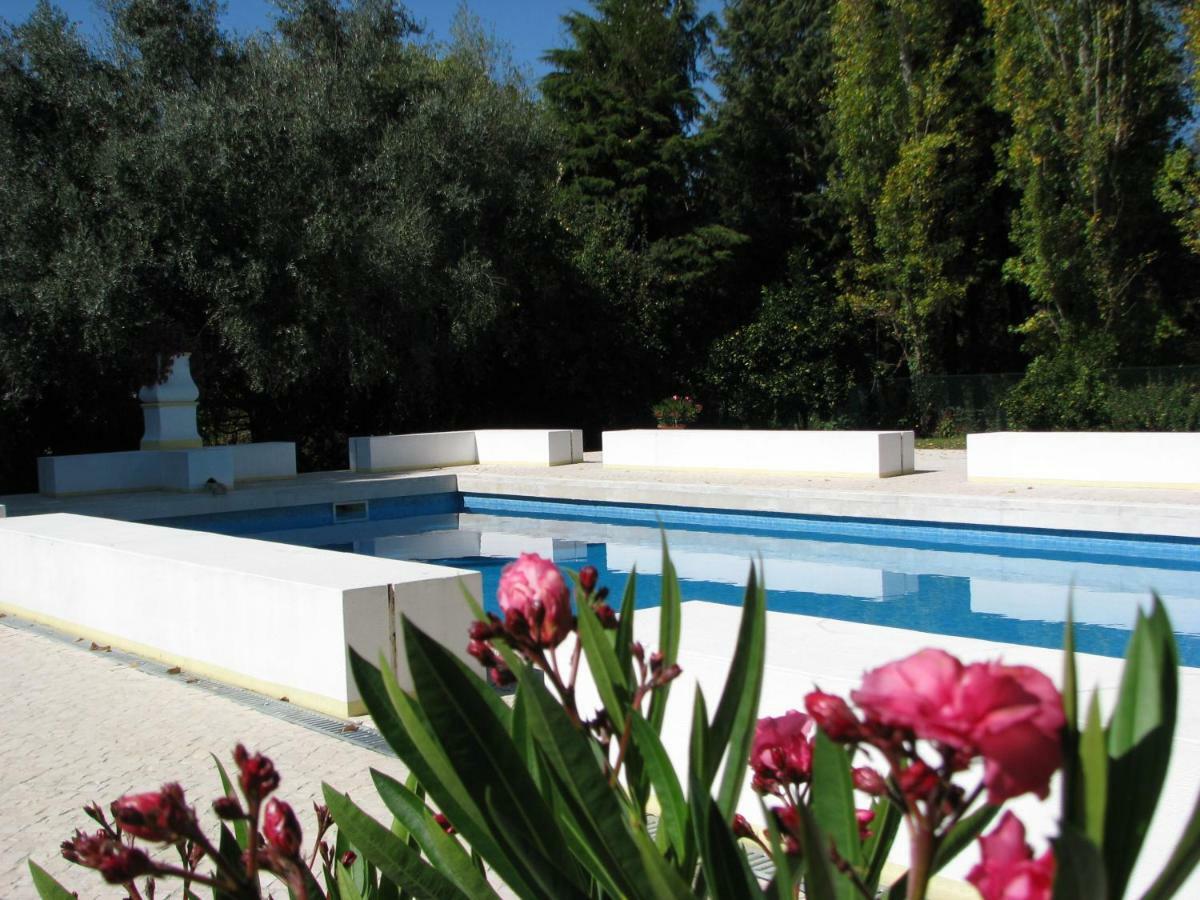 Bed and Breakfast Quinta Do Outeiro Vila Nova de Poiares Exteriér fotografie